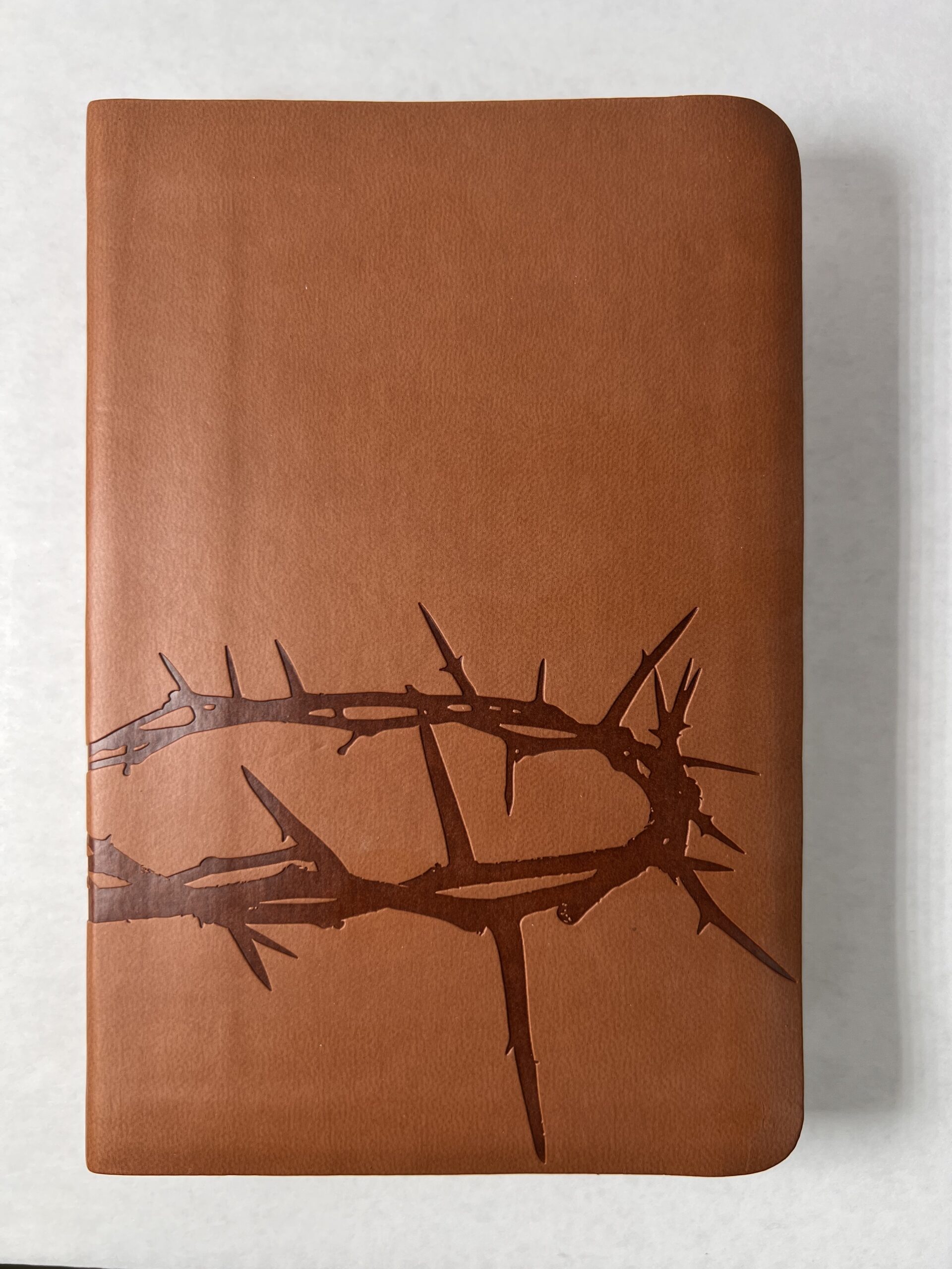HCSB Pocket Size Gift Bible Tan Crown